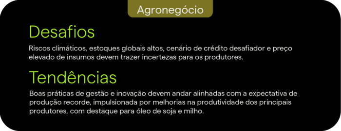 Desafios e tendências 2025 para o agronegócio: riscos climáticos e crédito desafiador, com gestão e inovação alinhadas à produção recorde
