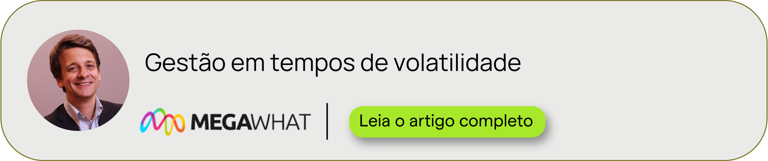 MegaWhat, artigo: Gestão em tempos de volatilidade